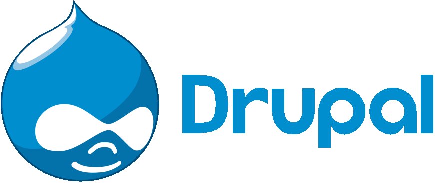 Empowering Dynamic Digital Experiences: Unveiling the Force of Drupal